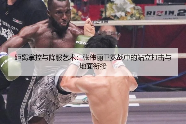 ju-li-zhang-kong-yu-xiang-fu-yi-shu-zhang-wei-li-wei-mian-zhan-zhong-de-zhan-li-da-ji-yu-di-mian-xian-jie-3-522.jpg