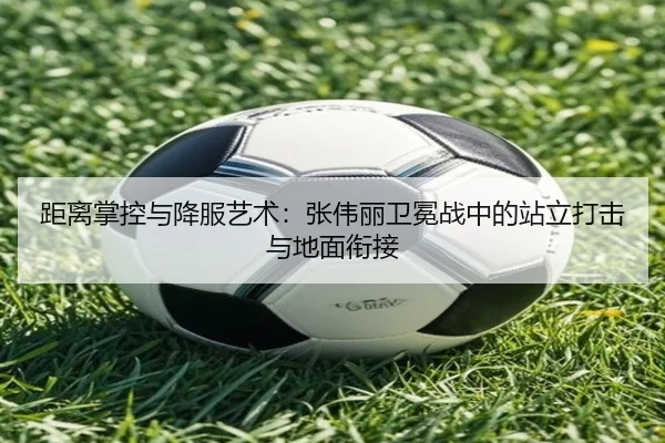距离掌控与降服艺术：张伟丽卫冕战中的站立打击与地面衔接
