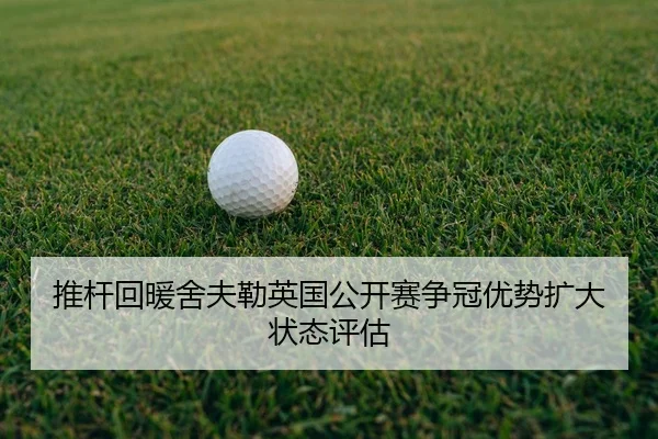 tui-gan-hui-nuan-she-fu-lei-ying-guo-gong-kai-sai-zheng-guan-you-shi-kuo-da-zhuang-tai-ping-gu-3-705.jpg