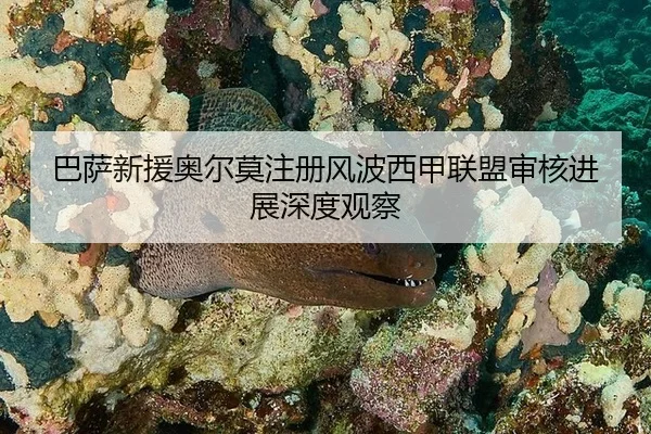ba-sa-xin-yuan-ao-er-mo-zhu-ce-feng-bo-xi-jia-lian-meng-shen-he-jin-zhan-shen-du-guan-cha-3-323.jpg