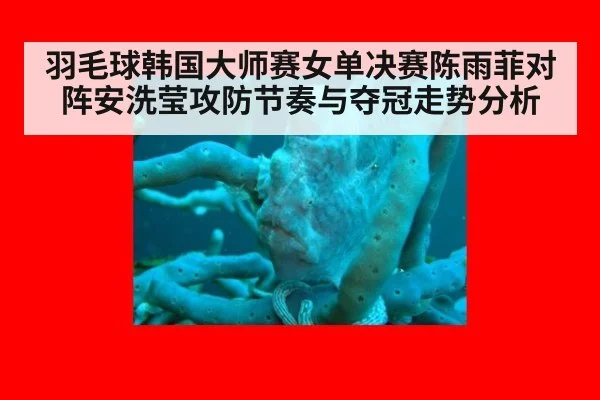 羽毛球韩国大师赛女单决赛陈雨菲对阵安洗莹攻防节奏与夺冠走势分析